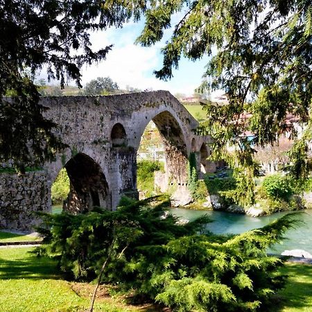 Apartamento El Cortijo Cangas de Onis Luaran gambar